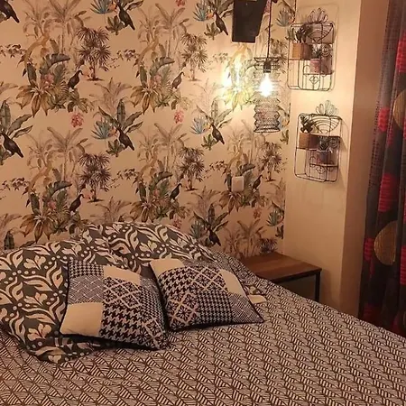 T2 Rdc Centre Apartament Millau